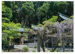 背振神社　春祭り